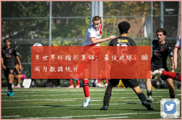 年世界杯精彩集锦:最佳进球、瞬间与数据统计