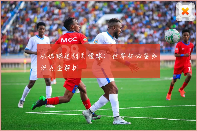 从伪球迷到真懂球:世界杯必备知识点全解析