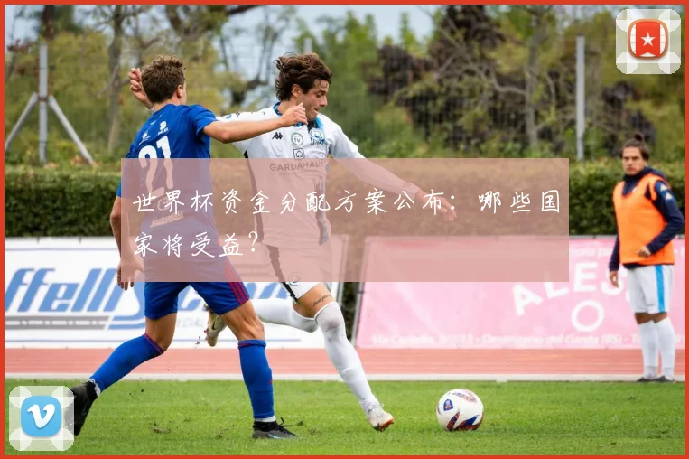 世界杯资金分配方案公布:哪些国家将受益?
