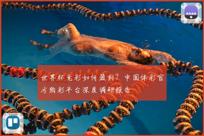 世界杯竞彩如何盈利？中国体彩官方购彩平台深度调研报告