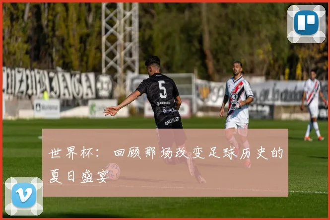 世界杯：回顾那场改变足球历史的夏日盛宴