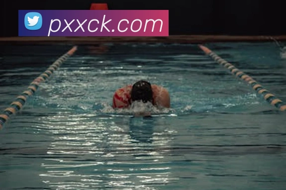 开云手机登录官网APP 封面图